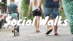 Social Walk mit mehreren Hundehaltern und Hunden