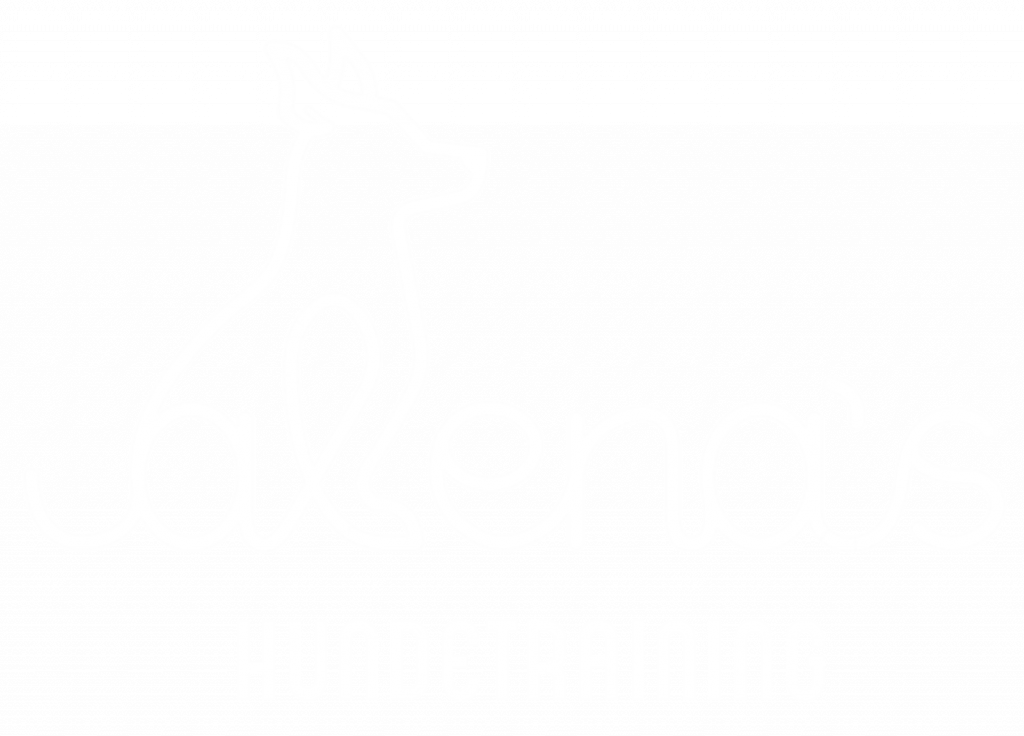 Alenas Hundetraining