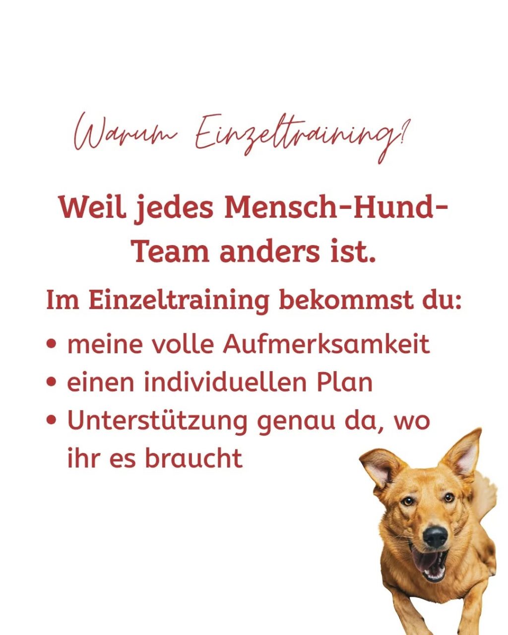 Instagram post from alenas.hundetraining. This post is in position 1.