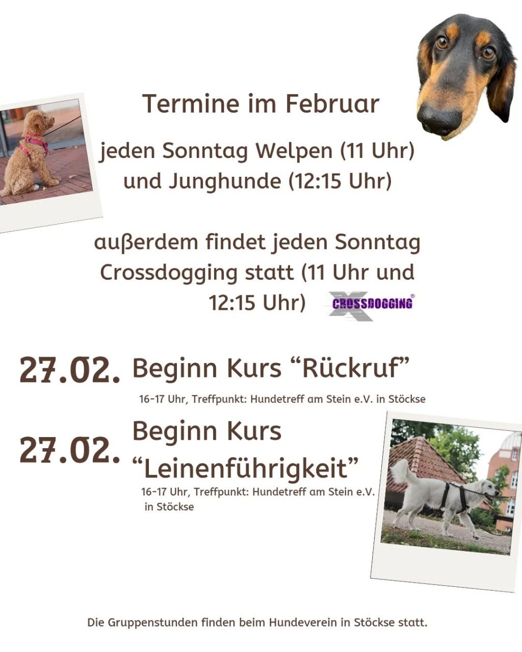 Instagram post from alenas.hundetraining. This post is in position 1.