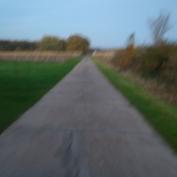 Instagram post from alenas.hundetraining. This post is in position 0.