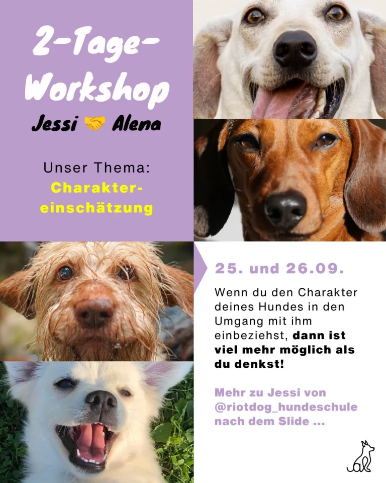 Instagram post from alenas.hundetraining. This post is in position 3.