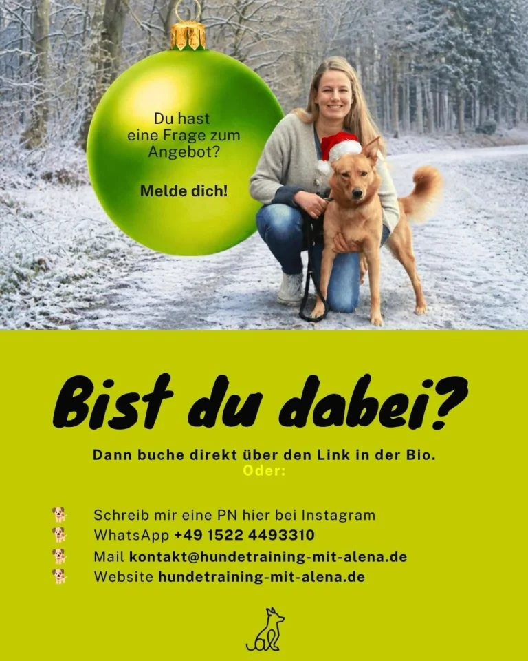 Instagram post from alenas.hundetraining. This post is in position 8.