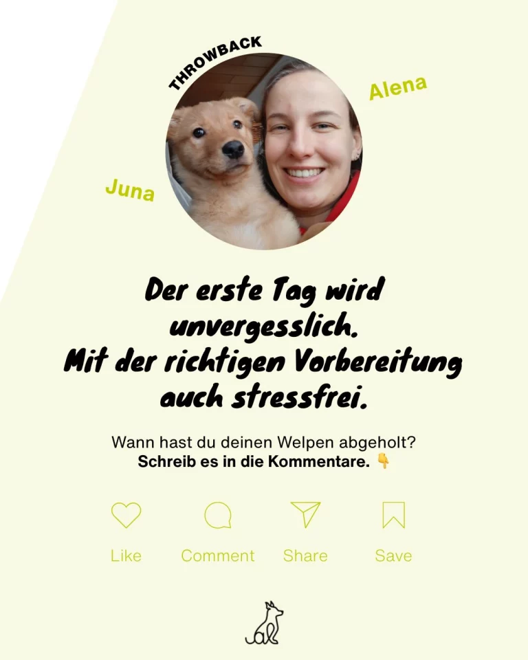 Instagram post from alenas.hundetraining. This post is in position 6.