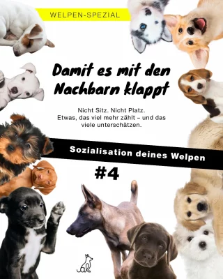 Instagram post from alenas.hundetraining. This post is in position 1.