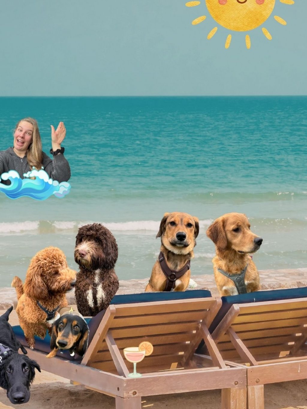 Instagram post from alenas.hundetraining. This post is in position 15.