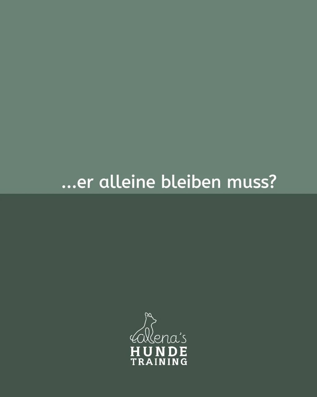 Instagram post from alenas.hundetraining. This post is in position 2.