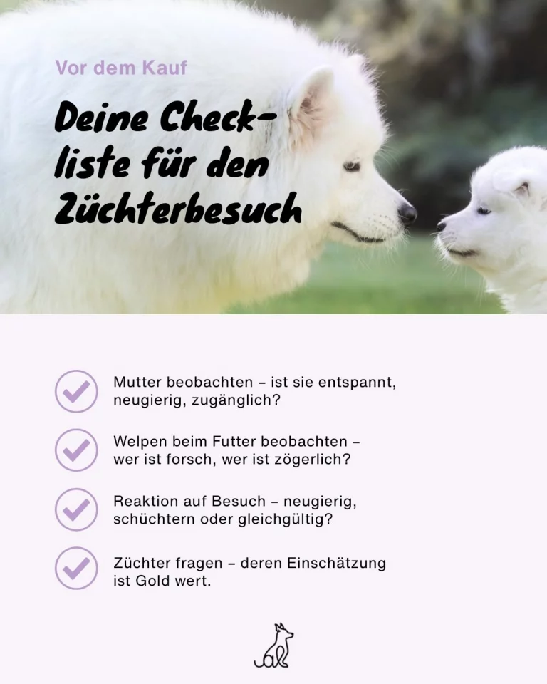 Instagram post from alenas.hundetraining. This post is in position 4.