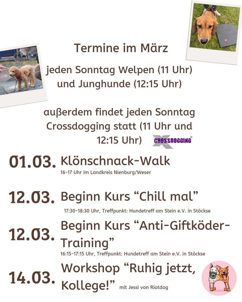 Instagram post from alenas.hundetraining. This post is in position 2.