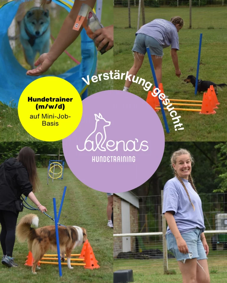 Instagram post from alenas.hundetraining. This post is in position 0.