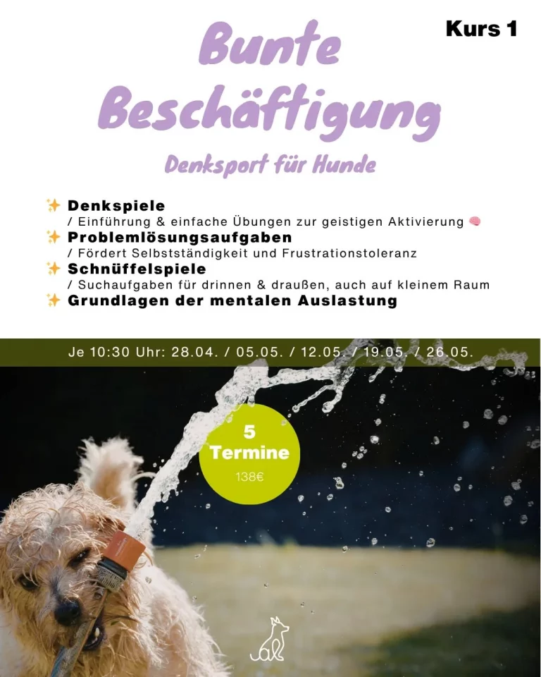 Instagram post from alenas.hundetraining. This post is in position 1.