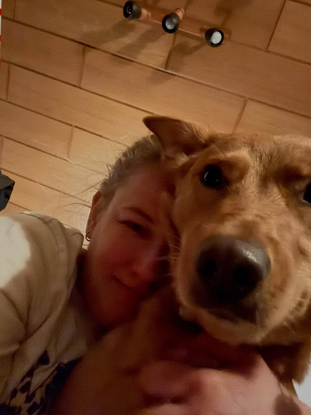 Instagram post from alenas.hundetraining. This post is in position 13.