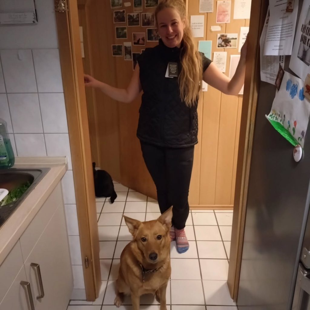 Instagram post from alenas.hundetraining. This post is in position 15.