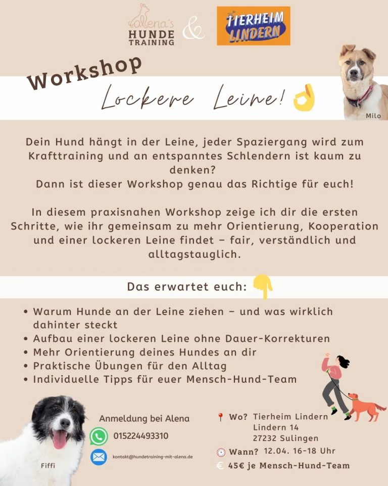 Instagram post from alenas.hundetraining. This post is in position 1.