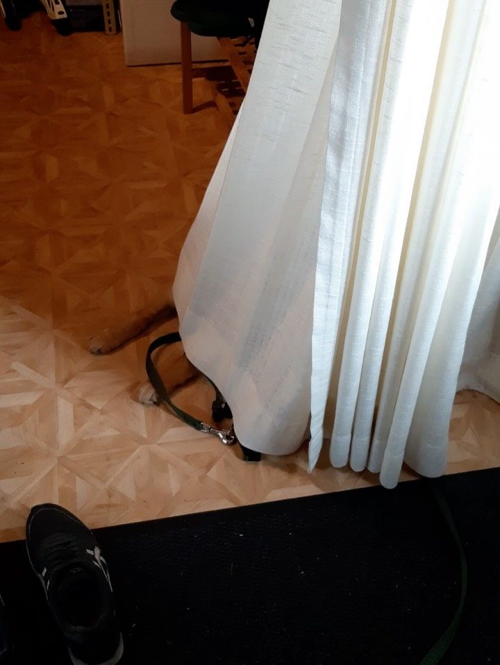 Instagram post from alenas.hundetraining. This post is in position 15.