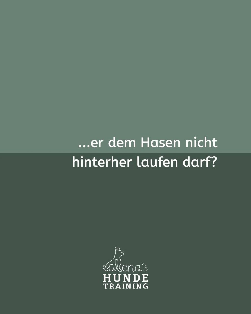 Instagram post from alenas.hundetraining. This post is in position 4.