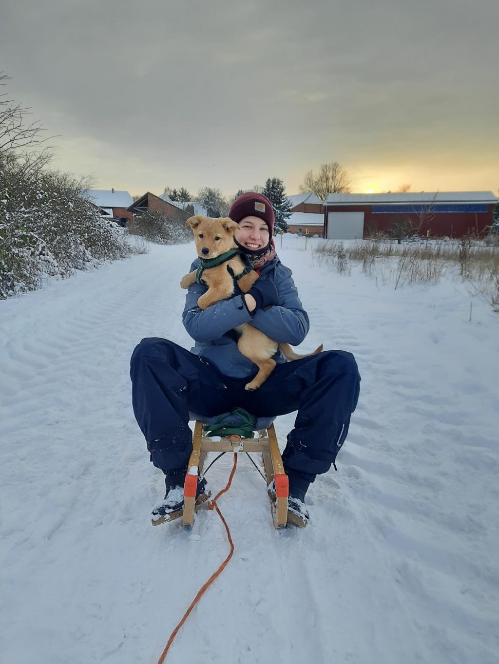 Instagram post from alenas.hundetraining. This post is in position 7.