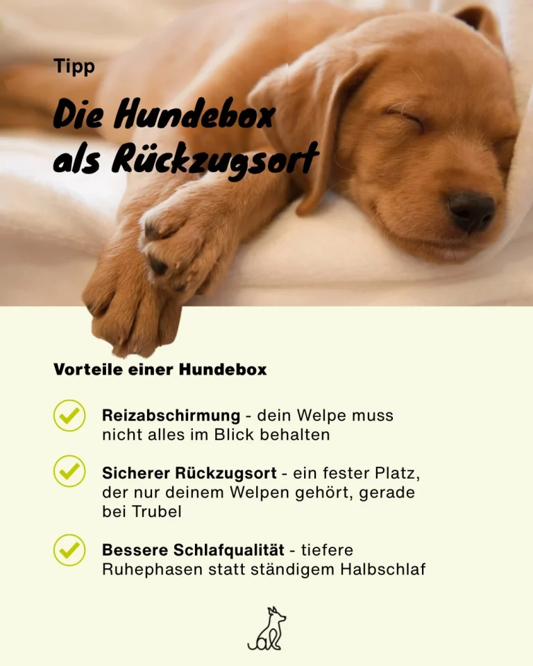 Instagram post from alenas.hundetraining. This post is in position 3.