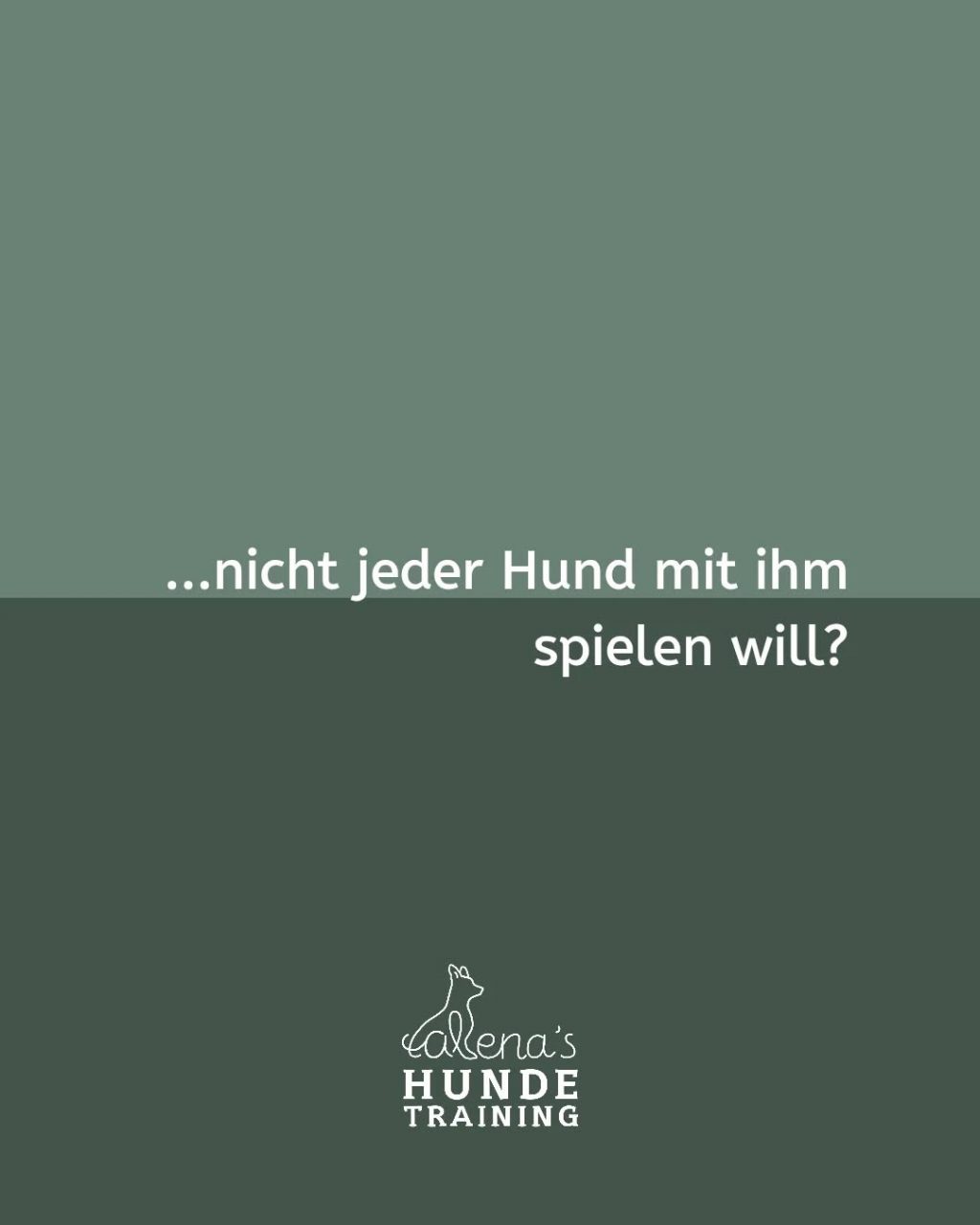 Instagram post from alenas.hundetraining. This post is in position 1.