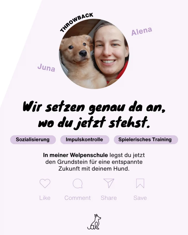Instagram post from alenas.hundetraining. This post is in position 6.