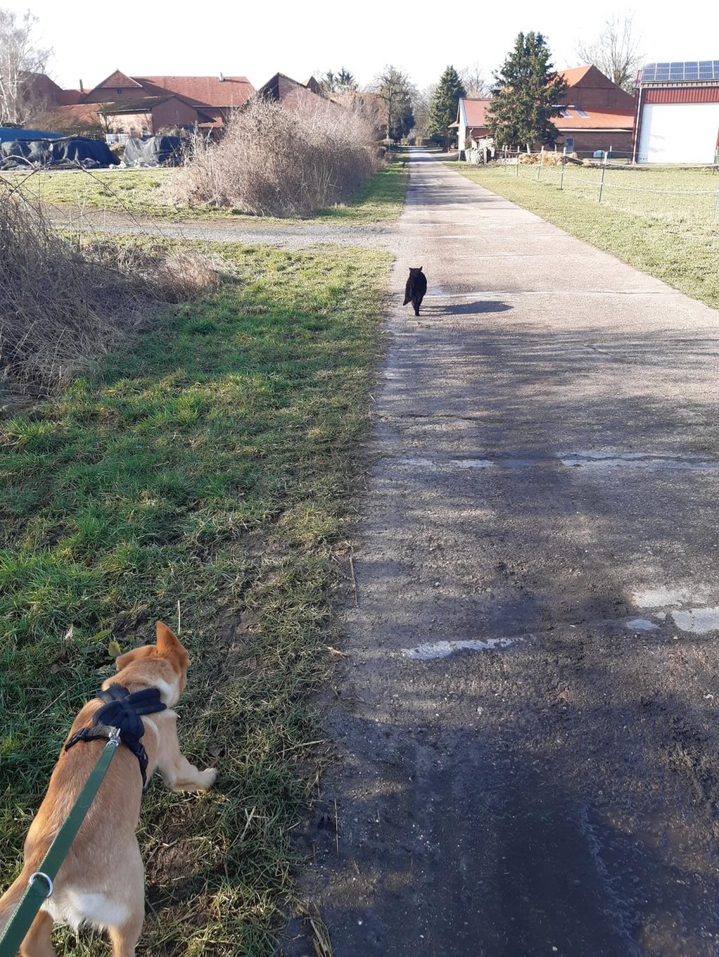 Instagram post from alenas.hundetraining. This post is in position 17.