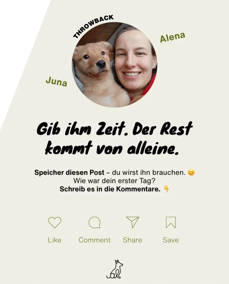 Instagram post from alenas.hundetraining. This post is in position 6.
