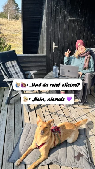 Instagram post from alenas.hundetraining. This post is in position 1.