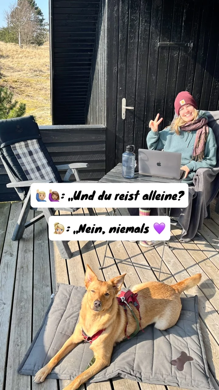 Instagram post from alenas.hundetraining. This post is in position 0.