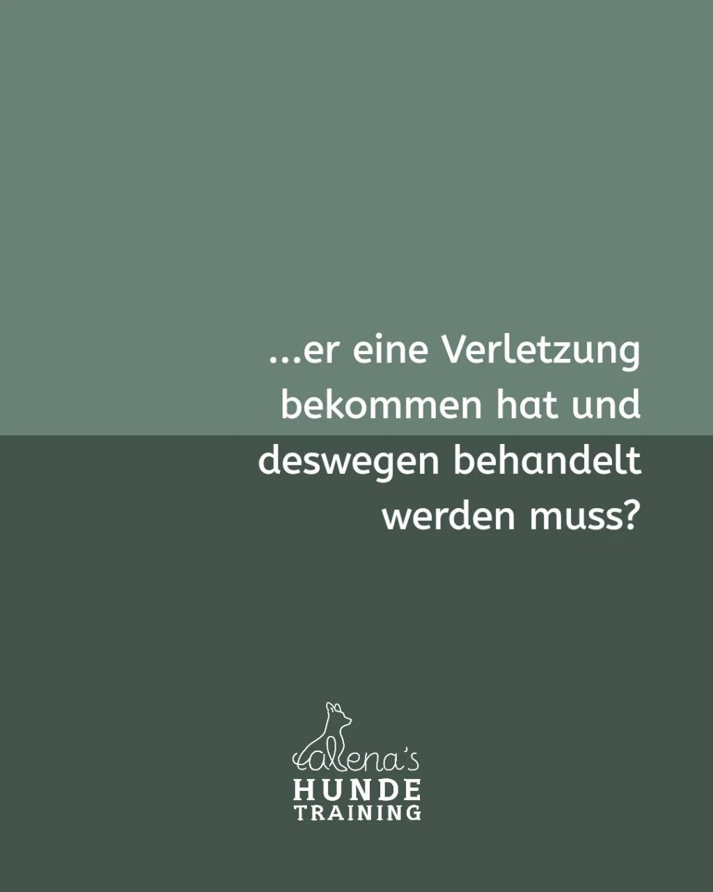 Instagram post from alenas.hundetraining. This post is in position 5.