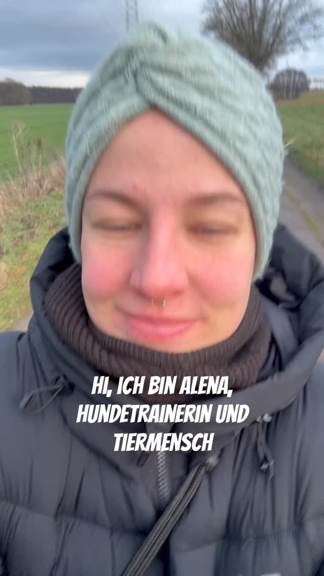 Instagram post from alenas.hundetraining. This post is in position 1.