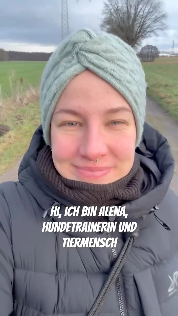 Instagram post from alenas.hundetraining. This post is in position 3.