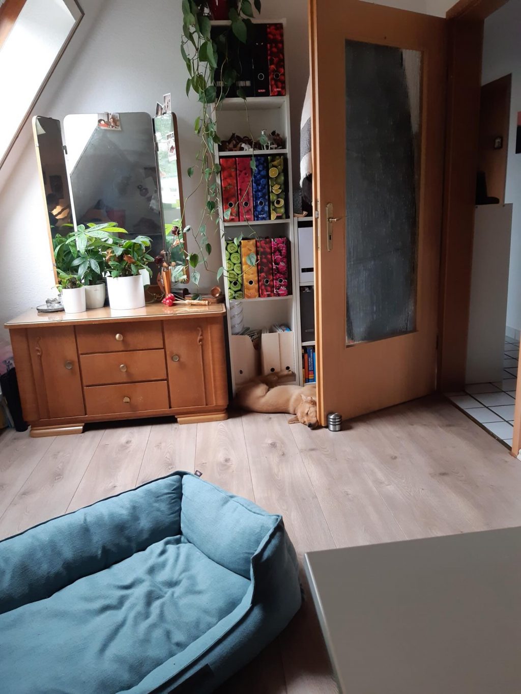 Instagram post from alenas.hundetraining. This post is in position 13.