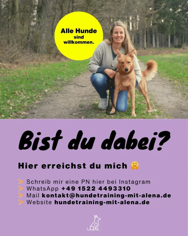 Instagram post from alenas.hundetraining. This post is in position 6.