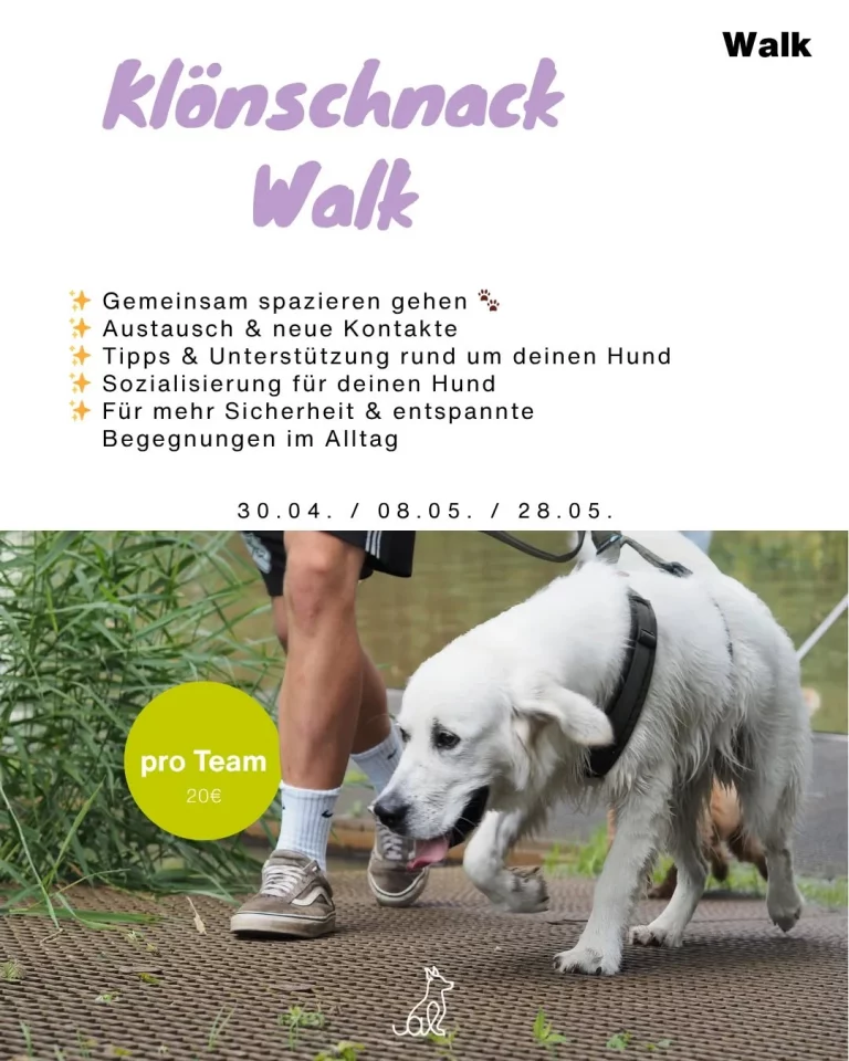 Instagram post from alenas.hundetraining. This post is in position 4.