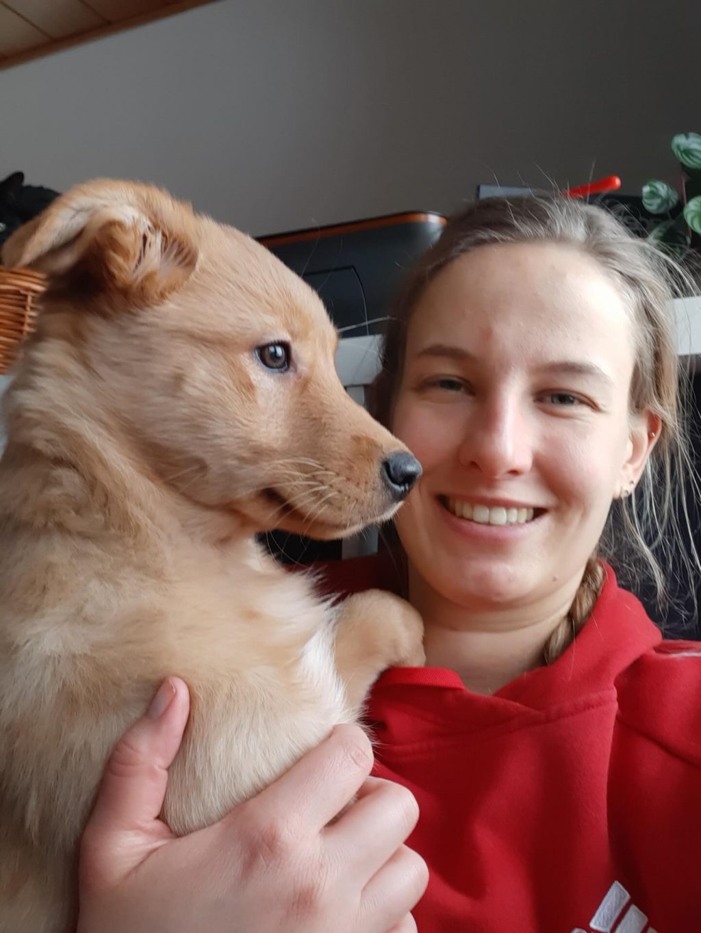 Instagram post from alenas.hundetraining. This post is in position 5.