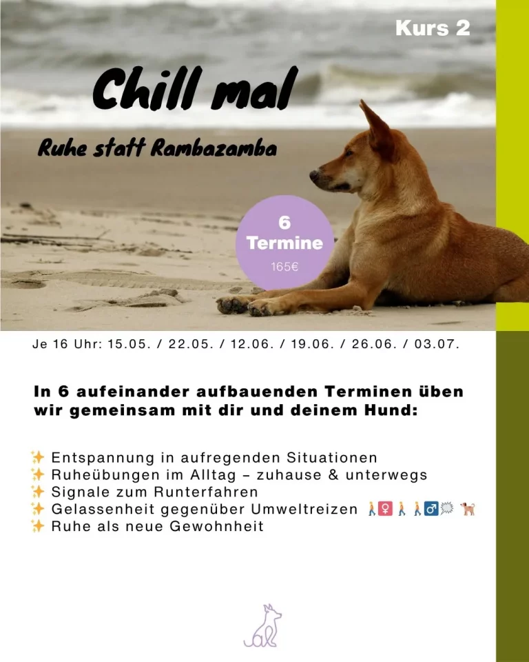 Instagram post from alenas.hundetraining. This post is in position 2.