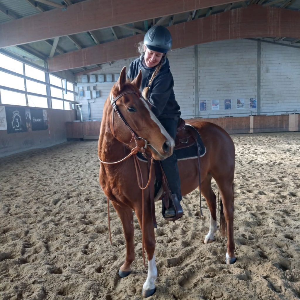 Instagram post from alenas.hundetraining. This post is in position 7.