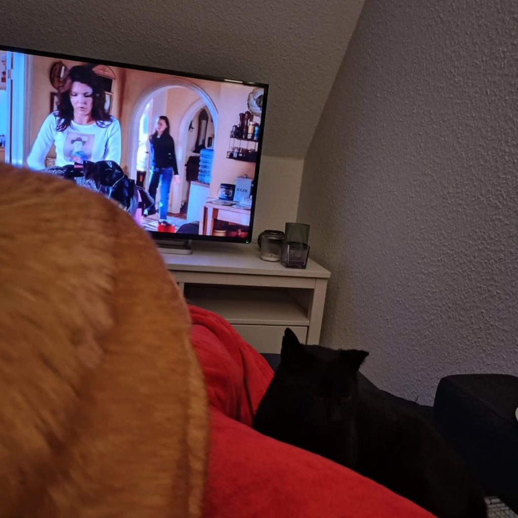 Instagram post from alenas.hundetraining. This post is in position 6.