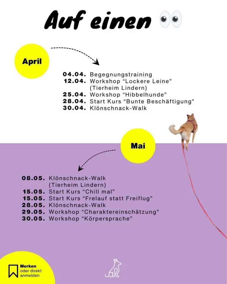 Instagram post from alenas.hundetraining. This post is in position 5.