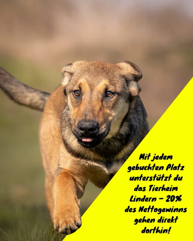 Instagram post from alenas.hundetraining. This post is in position 4.