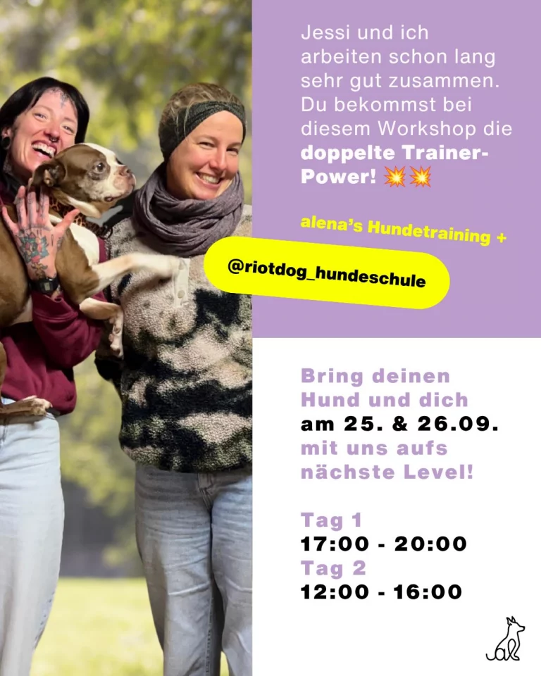 Instagram post from alenas.hundetraining. This post is in position 4.
