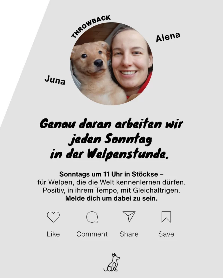 Instagram post from alenas.hundetraining. This post is in position 6.