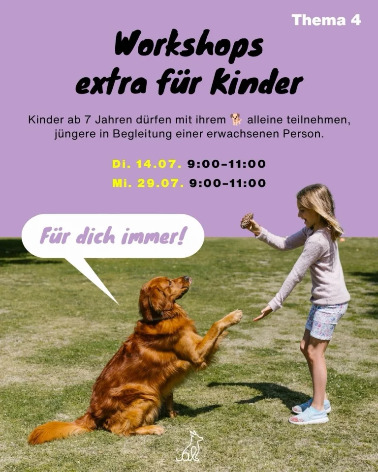 Instagram post from alenas.hundetraining. This post is in position 5.