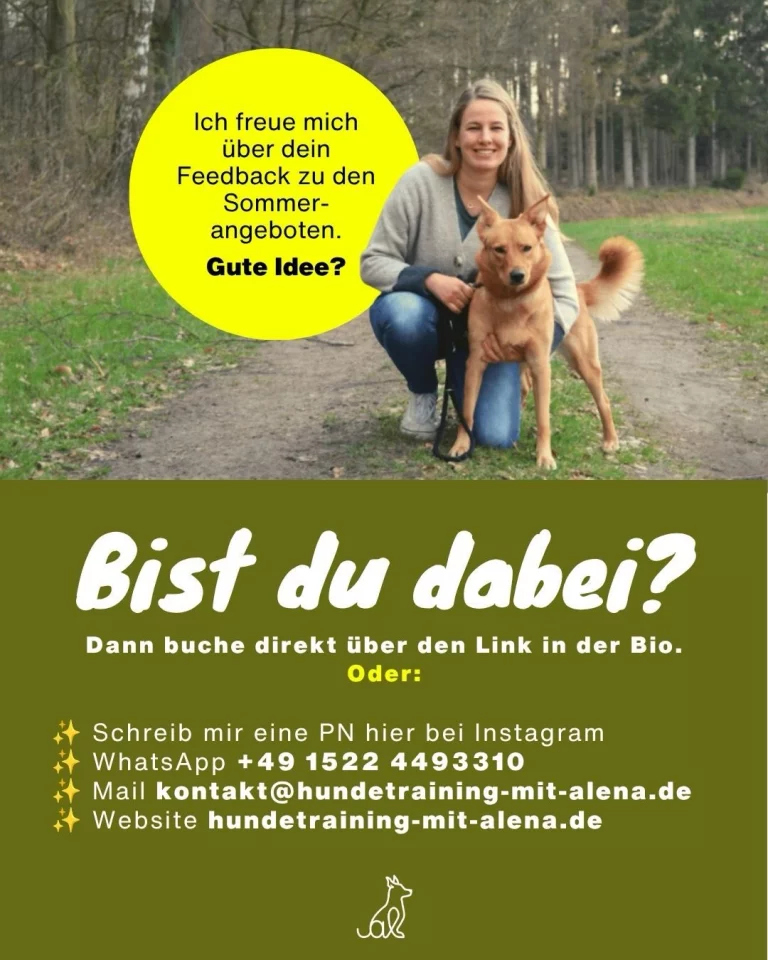 Instagram post from alenas.hundetraining. This post is in position 7.