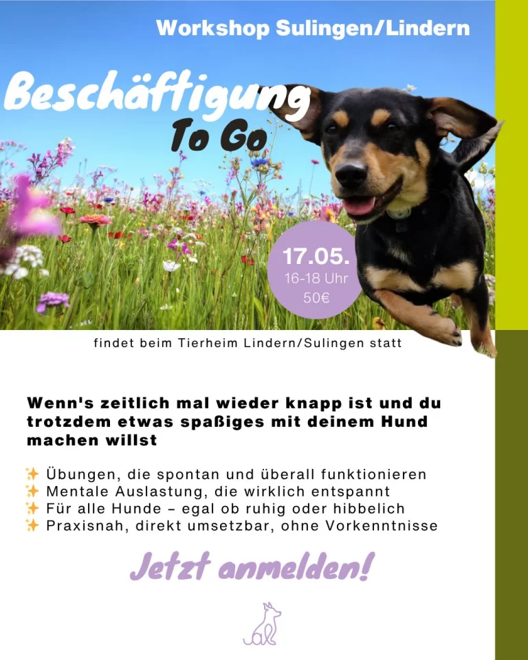 Instagram post from alenas.hundetraining. This post is in position 1.
