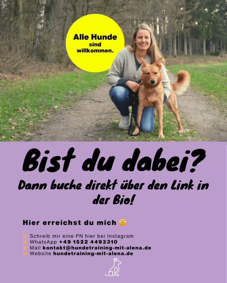 Instagram post from alenas.hundetraining. This post is in position 5.