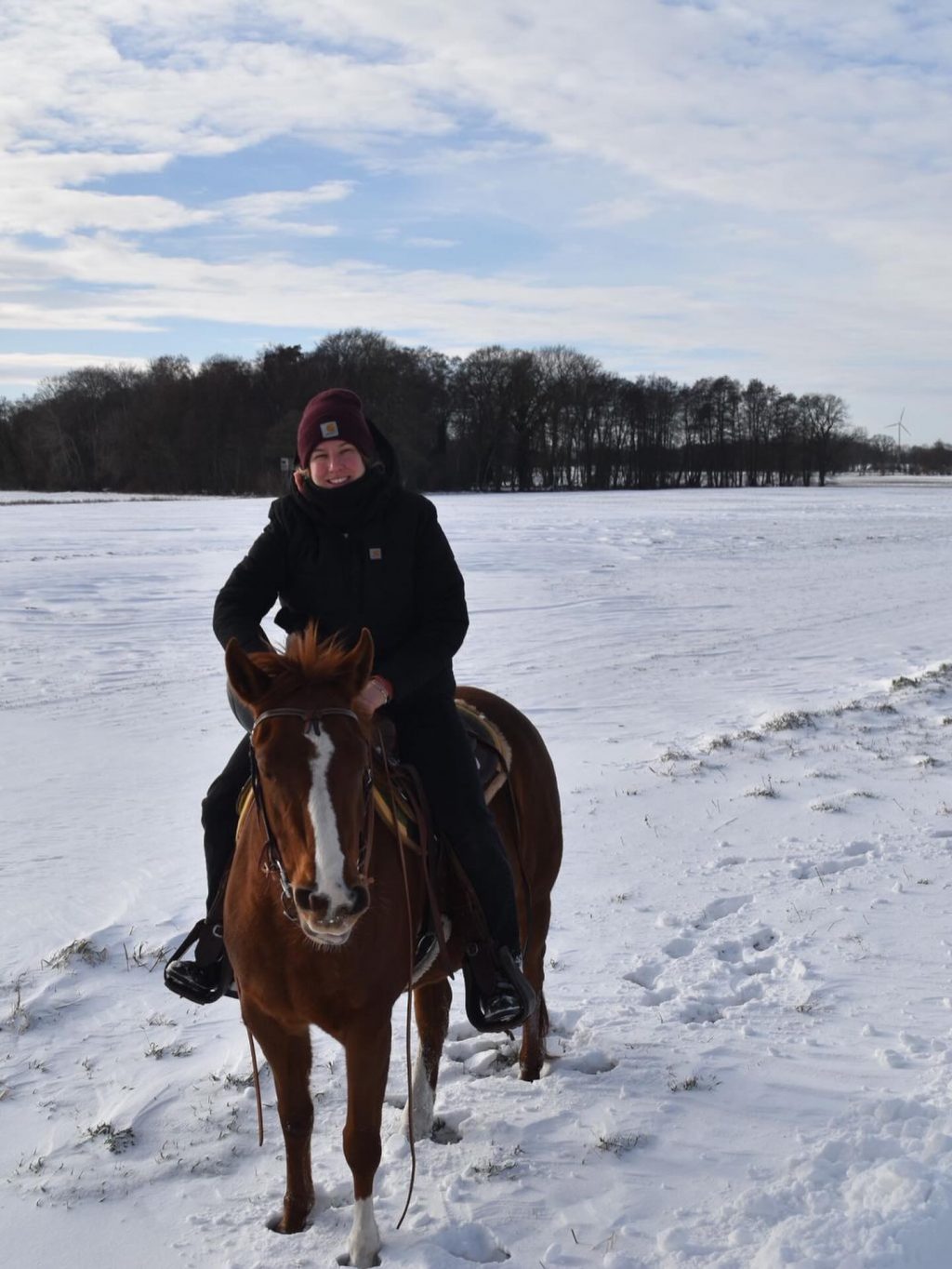 Instagram post from alenas.hundetraining. This post is in position 5.