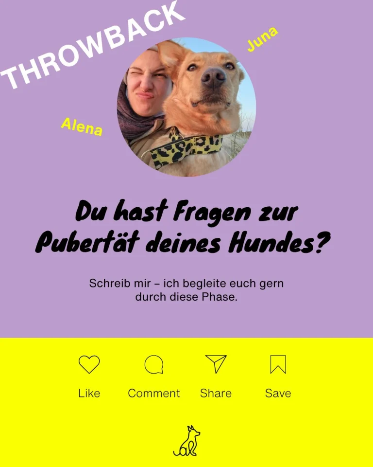Instagram post from alenas.hundetraining. This post is in position 6.