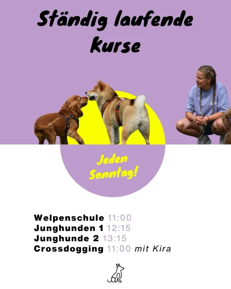 Instagram post from alenas.hundetraining. This post is in position 6.