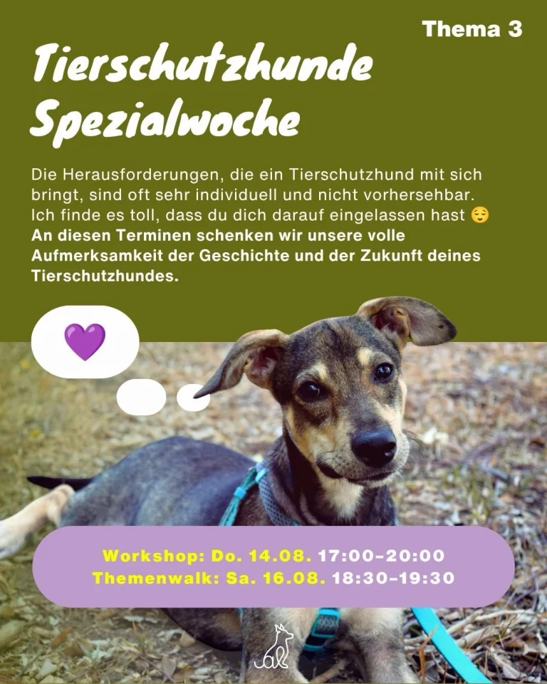 Instagram post from alenas.hundetraining. This post is in position 4.